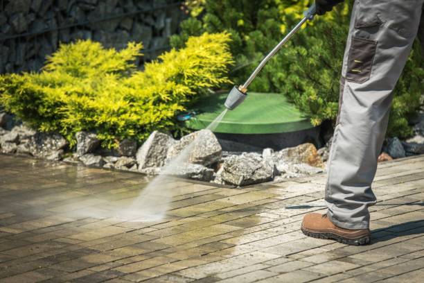 Best Roof Washing  in Lathrup Village, MI